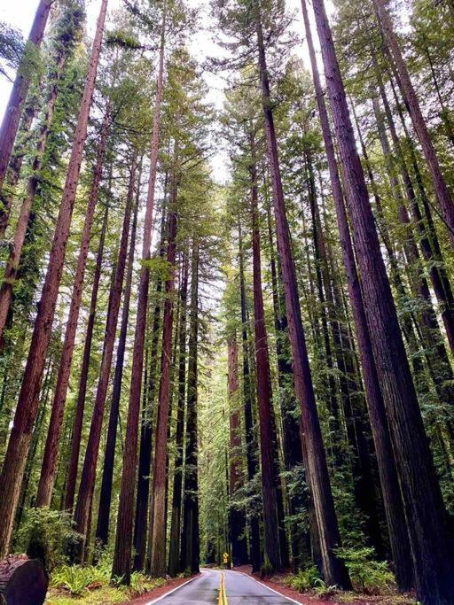 Avenue Of The Giants Pepperwood Place Miranda Exterior photo